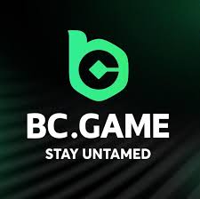 The Exciting World of BC.Game Wins Insights and Strategies