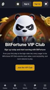Leading Picks at Bitfortune Casino Your Guide to Top Games and Bonuses