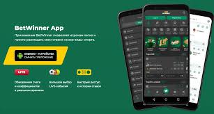 Explore BetWinner Casino & Sportsbook Your Complete Guide
