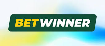 Exploring the BetWinner Casino Platform Your Gateway to Online Gaming