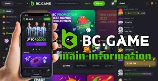 Understanding the BC.Game Login Process 599099020