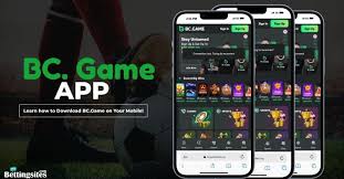 A Comprehensive Overview of BC App Reviews User Experiences and Insights