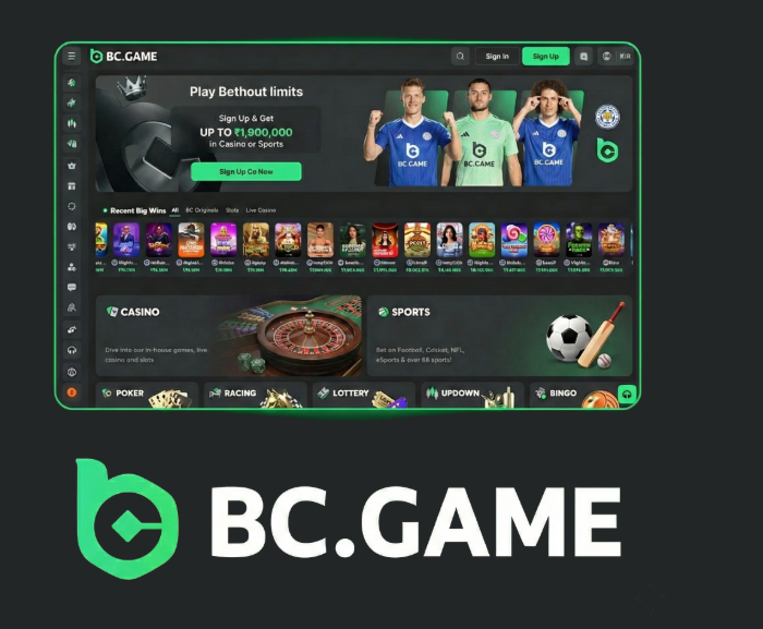 Experience the Thrill of Gaming at Corgibet Casino Official Website